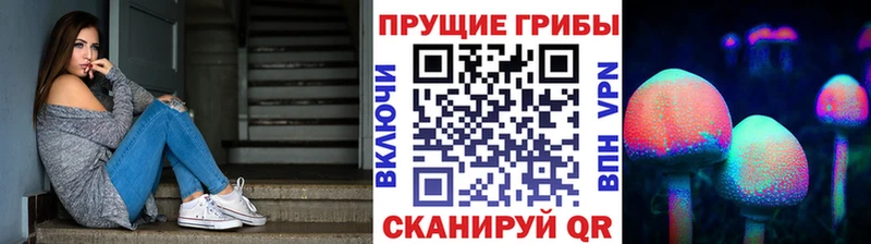 наркошоп  Болотное  Галлюциногенные грибы Magic Shrooms 
