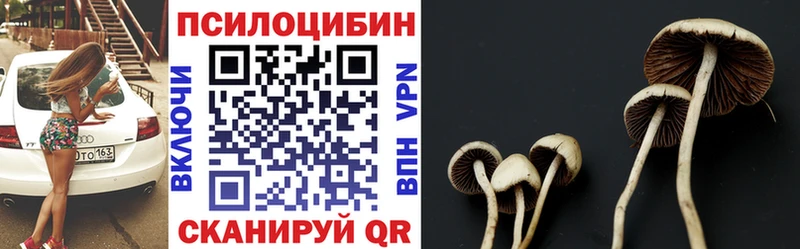 Галлюциногенные грибы Magic Shrooms Болотное